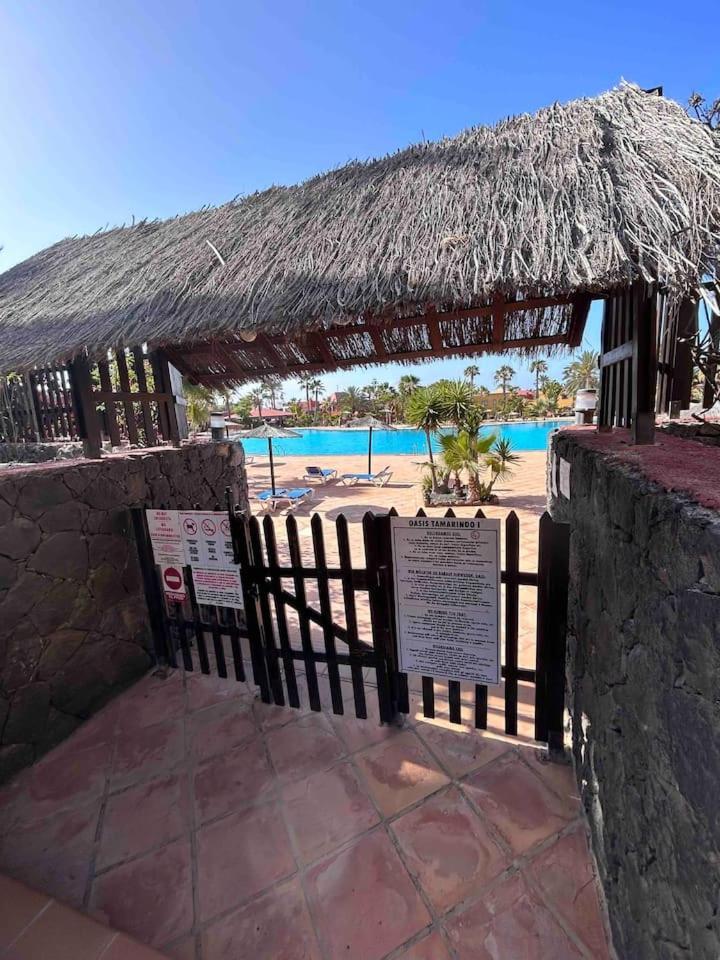 Sun & Sea Apartment In Corralejo Zewnętrze zdjęcie