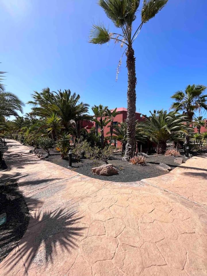 Sun & Sea Apartment In Corralejo Zewnętrze zdjęcie
