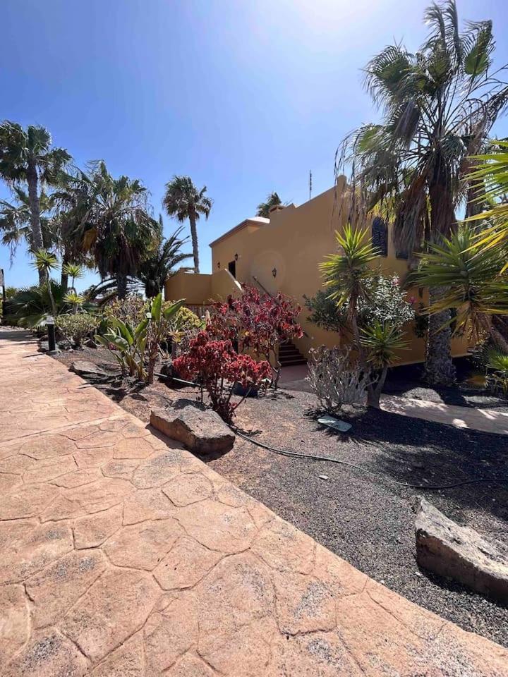 Sun & Sea Apartment In Corralejo Zewnętrze zdjęcie