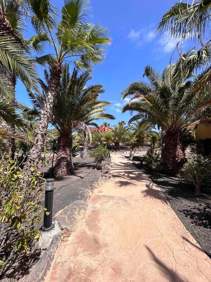 Sun & Sea Apartment In Corralejo Zewnętrze zdjęcie